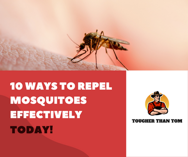 10 indoor mosquito traps to repel mosquitoes effectively